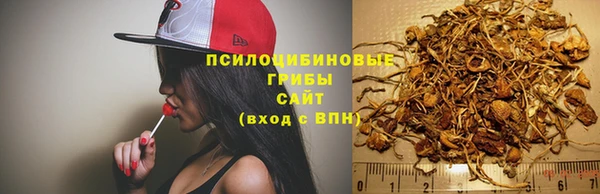 каннабис Волоколамск